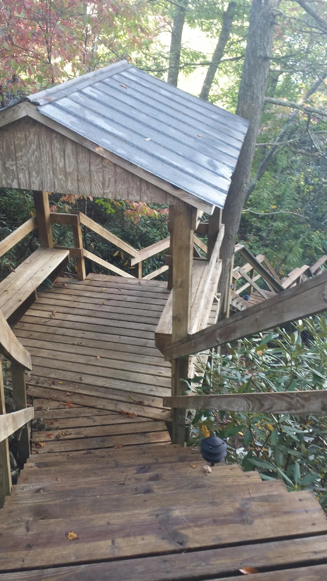 Metal roofed shelter over wooden steps on a wooded walkway — Skylight Repair & Installation work by our crew in Stanwood