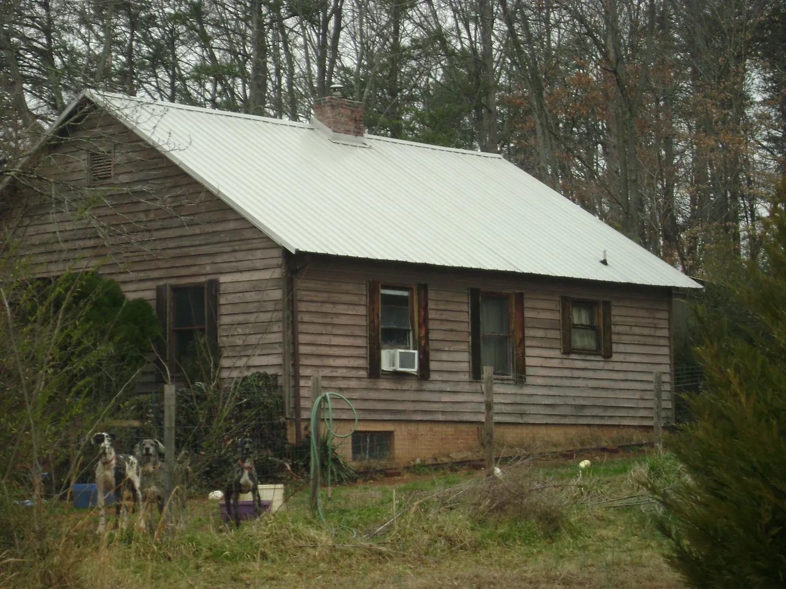 White metal roof on an old wood sided farmhouse, from a Asphalt Shingle Roof Repair job in Stanwood
